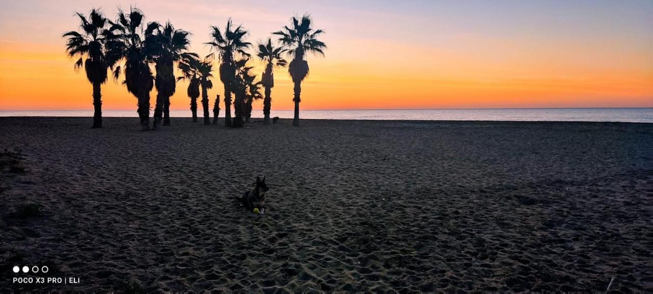 Encantador Apto En La Playa كوماروغا المظهر الخارجي الصورة