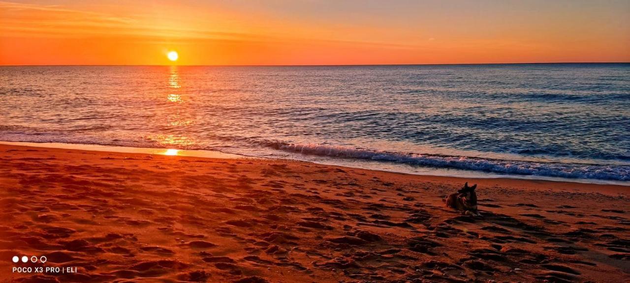 Encantador Apto En La Playa كوماروغا المظهر الخارجي الصورة